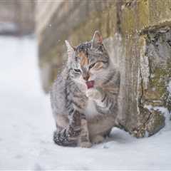 Friday Footnotes: Departing EY Partner Clowns Firm Leadership in His Farewell Email; PwC Doesn’t..