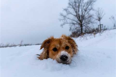 This Snow Storm is Definitely Going to Screw Things Up For CPA Candidates