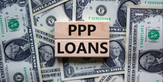 AI Data Mining and PPP False Claims Act Cases