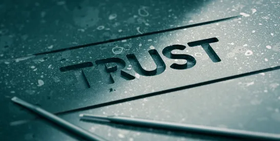 Domestic Asset Protection Trusts: Protecting Your Wealth in a Litigious World