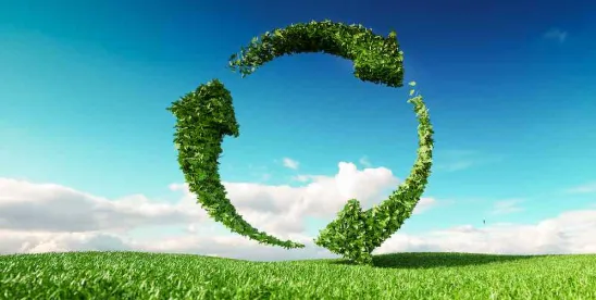 BB-REG-Net Suggests Additional Lifecycle Assessment Categories for Biobased and Biodegradable..