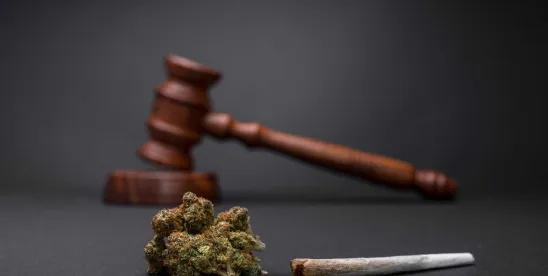 New Jersey Bill Could Strengthen Employment Protections for Medical Marijuana Patients