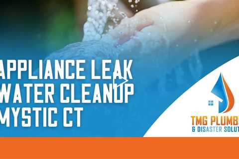 Appliance leak water cleanup Mystic CT - TMG Plumbing & Disaster Solutions - (860) 629 - 0031