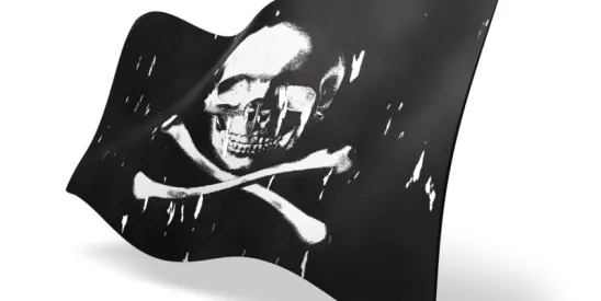 Blackbeard’s Revenge- State Sovereign Immunity Ends Long Running Copyright Battle