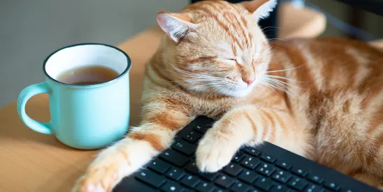 Can’t I Just “WFH”? Best ADA Practices for Evaluating Remote Work Requests