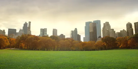 The New Year Introduces New Laws to New York Employers