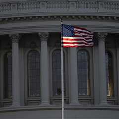 Birthright citizenship: A note on foundlings and comments on four complementary amicus briefs