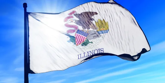 Illinois Public Act 103-0804: Is This the AI Fairness Blueprint We Have Been Yearning For?