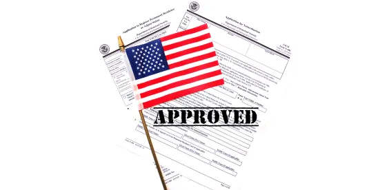 EB-2 NIW Case Study: Taiwanese Business Strategy Professional Helping U.S. Startups Scale Globally