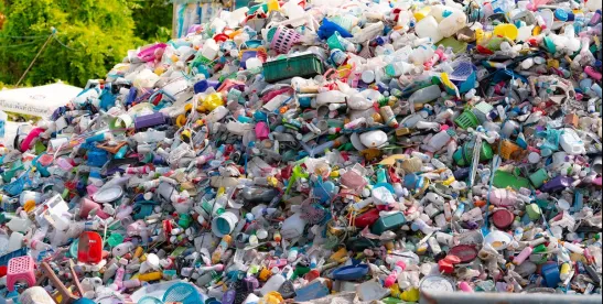 PFAS Warning Labels On Consumer Goods – New Mexico Leads the Way