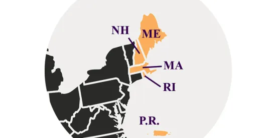 Performance Management- Employer Strategies as PIPs Come under Scrutiny