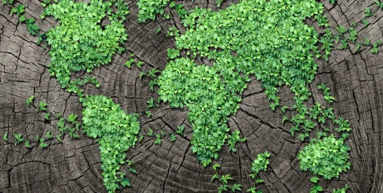 The New Energy Trade War- Why Every CEO Must Rethink Their Power Strategy Now