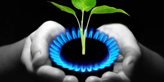 Heat Check: Federal Courts Weigh in on Natural Gas Appliance Restrictions