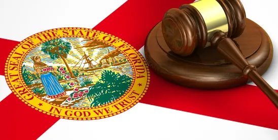 AI Hallucinations in Court Filings Continue: Florida Supreme Court Responds with a New..
