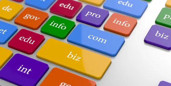 Trademark Holders Should Consider Acting During .PAY Domain Sunrise Period