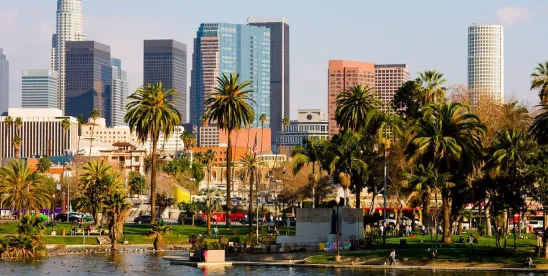 The City of Los Angeles Seeks to Delay Implementation of Senate Bill 79 (SB 79) Until 2030