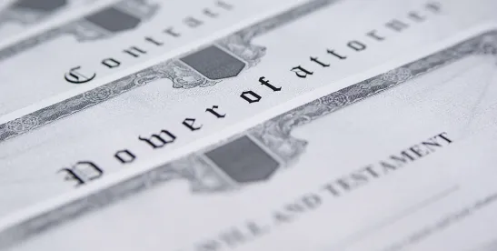 Court Held That An Illegitimate Child Was Not A Beneficiary Of A Trust Due To The Law In Effect At..