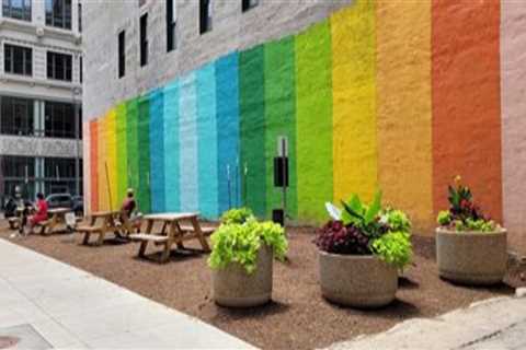 Why Citizen-Led Beautification Projects in St. Louis, MO Deserve More Recognition