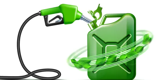 Study Illustrates How Biofuels Can Increase Demand for Agricultural Commodities While Meeting Food..