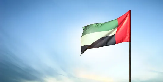 Commercial Gaming in the United Arab Emirates: Emerging Regulatory Framework and Market Structure