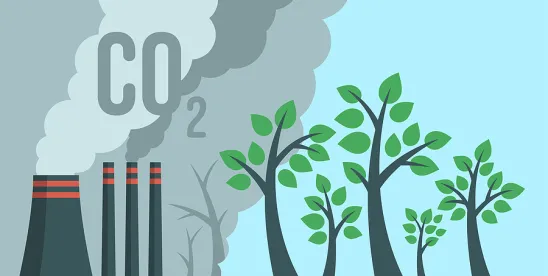 With Federal Greenhouse Gas Reporting in Limbo, States Expand GHG Reporting
