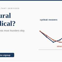 Structural or Cyclical: The Plateau Diagnosis Founders Skip