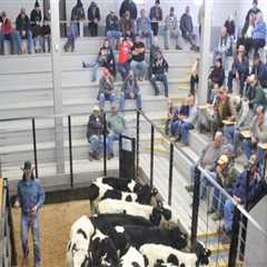 Understanding the Impact of Auctions on Livestock Marketing
