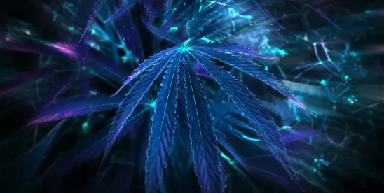 The States Take the Wheel: A Roundup of Recent State Action on Psychedelics in the South