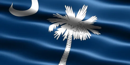 A New SC Supreme Court Decision Protects Ability of Personal Representatives, Guardians, Attorneys..