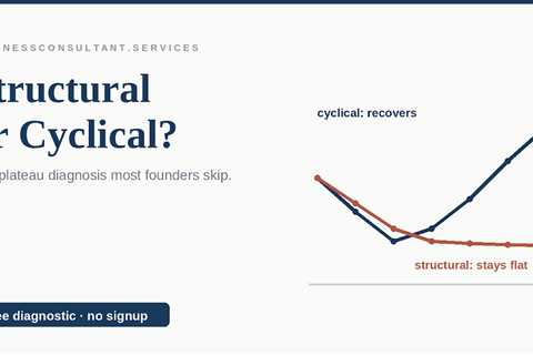 Structural or Cyclical: The Plateau Diagnosis Founders Skip