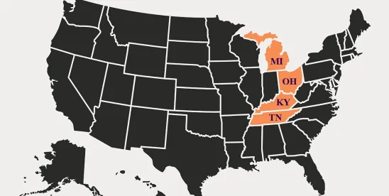 Heirs’ Lights Flicker Out- Sixth Circuit Affirms MillerKnoll’s Bubble Lamp Rights