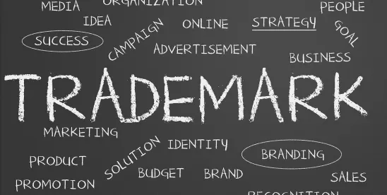 Supreme Court to Resolve Whether Trademark Strength Is a Question of Law or Fact