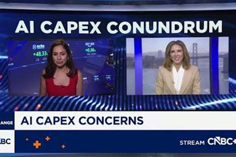 Investors punish heavy AI spenders, while rewarding the capex-lite business models
