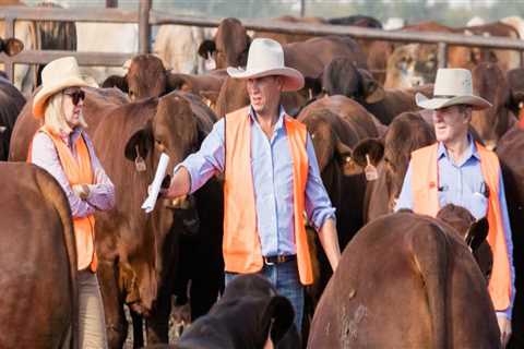 Building Lasting Relationships in Livestock Marketing