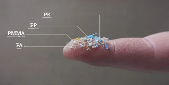 Microplastics—No Longer a Micro Concern for Consumer Products