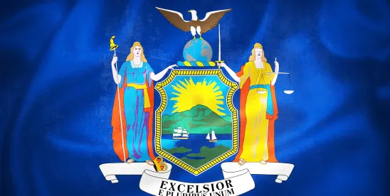 New York Just Pressed Pause on Large Data Center Permitting