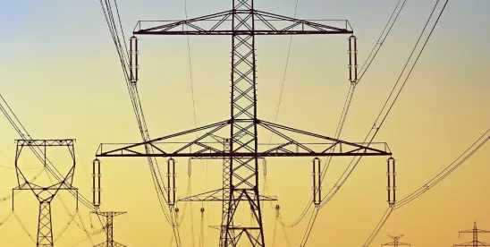 Electricity Market Participants on Notice- AER Releases Guidance on Automated Bidding and..