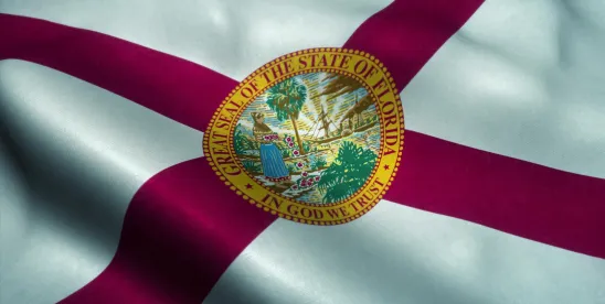 Bid Protests in Florida