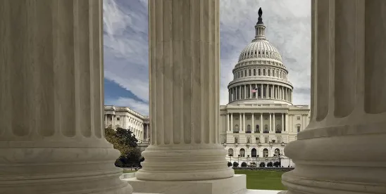 Congressional Investigations: What to Expect in the 120th Congress