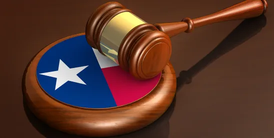 Texas Business Court Clarifies Derived Judicial Immunity for Court-Appointed Receivers