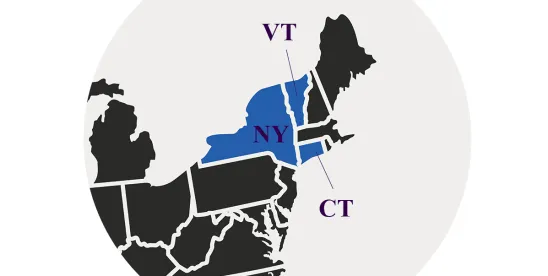 YOU MOVED? WELL, YOUR LAW DID NOT: Article III Standing Limits Survive Venue Shifts in Consumer..