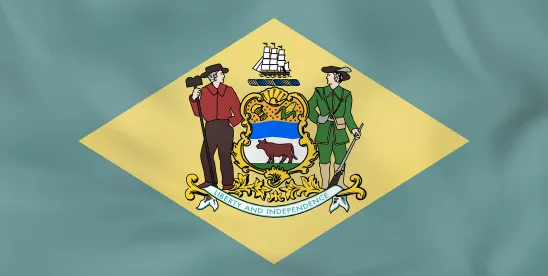 Beyond Delaware: Smarter Entity Formation for Your Business