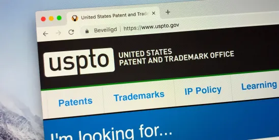 Federal Circuit Shows Why Standing Strategy Can Decide a Patent Policy Challenge Before the Merits