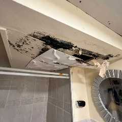 Mold Testing &amp; Assessments in Smithtown NY