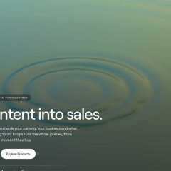 Loops raises $3.5m to build an AI operating system for retailers