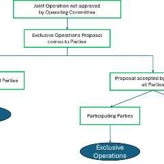 Going Solo: Exclusive Operations in Petroleum Joint Ventures—an NOC Perspective
