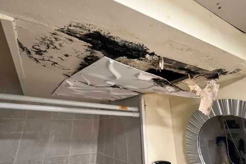 Mold Testing &amp; Assessments in Smithtown NY